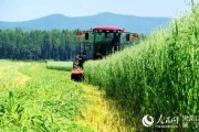 黑龙江农场爆料事件最新,揭露背后惊人真相
