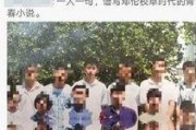 石家庄邓伦最新爆料,揭秘最新爆料背后的故事